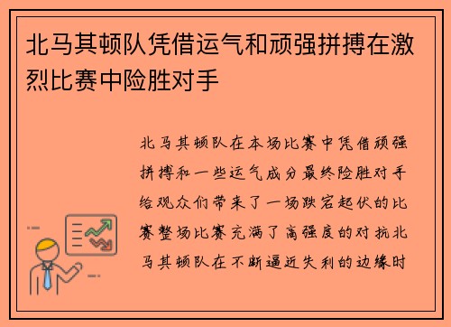 北马其顿队凭借运气和顽强拼搏在激烈比赛中险胜对手 北马其顿队凭借运气和顽强拼搏在激烈比赛中险胜对手